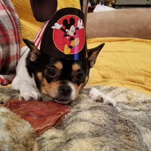 Meet your Posher, Regina